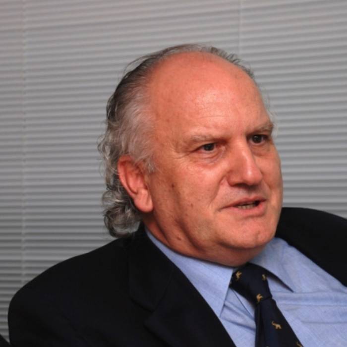 Keep state subsidies even in recovery period, economist advises