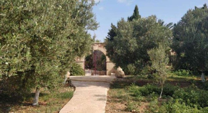 Bidnija