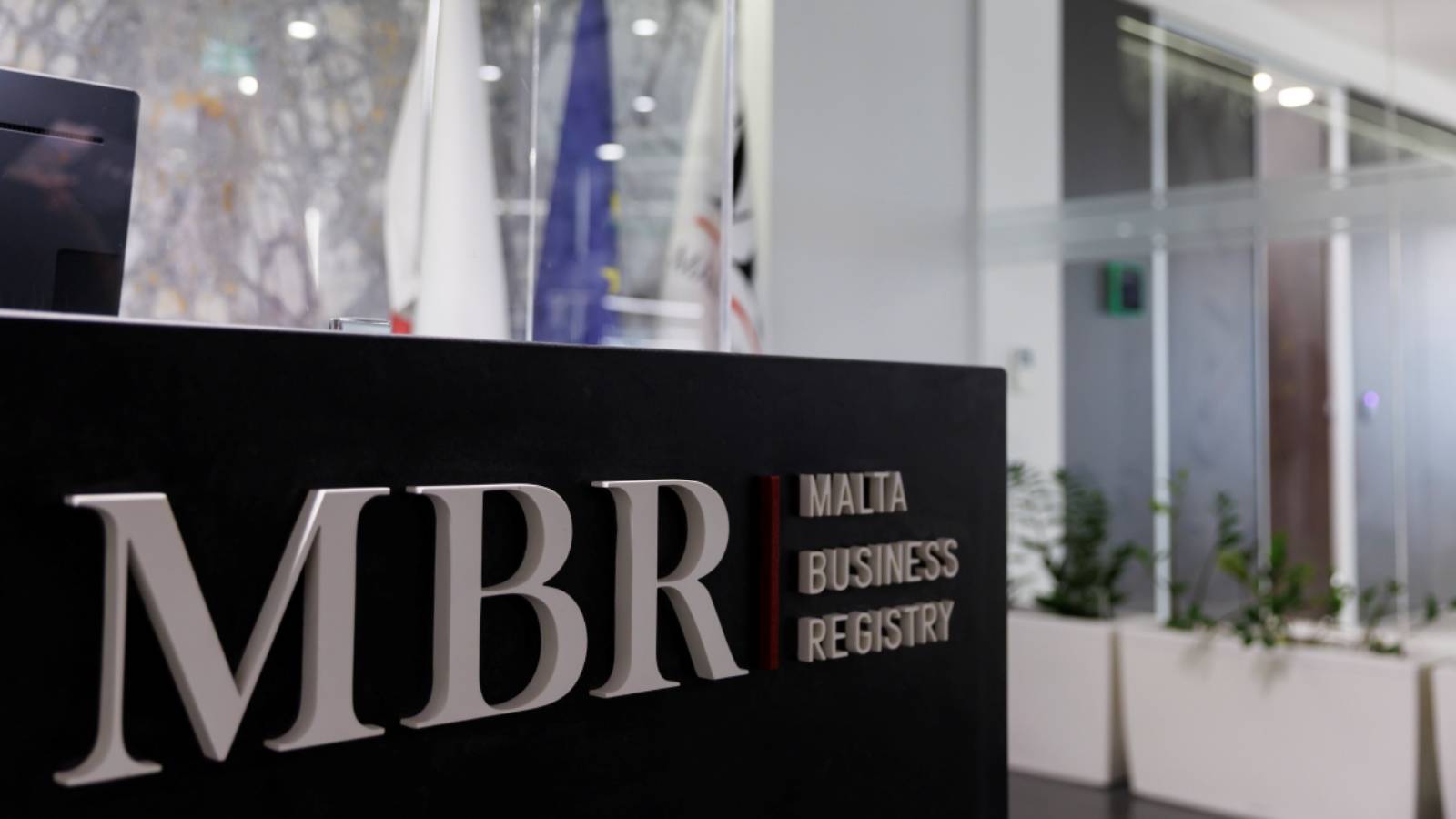MBR launches new API packages for real-time company data access, automation