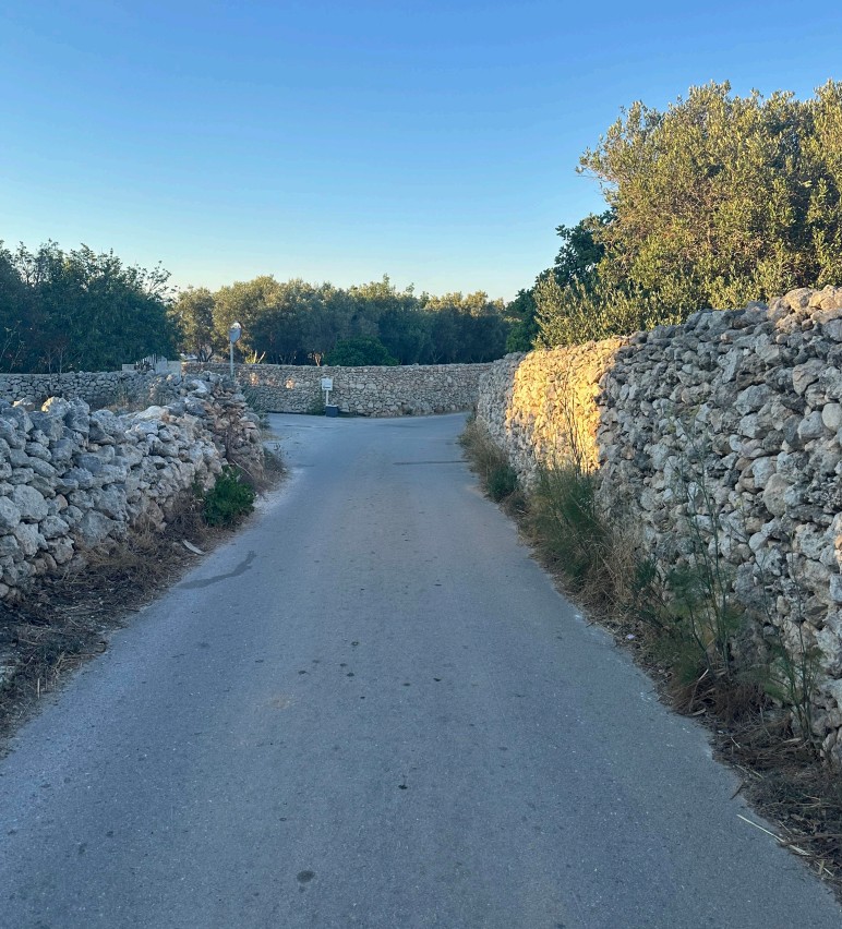 bidnija pig farm wellness centre