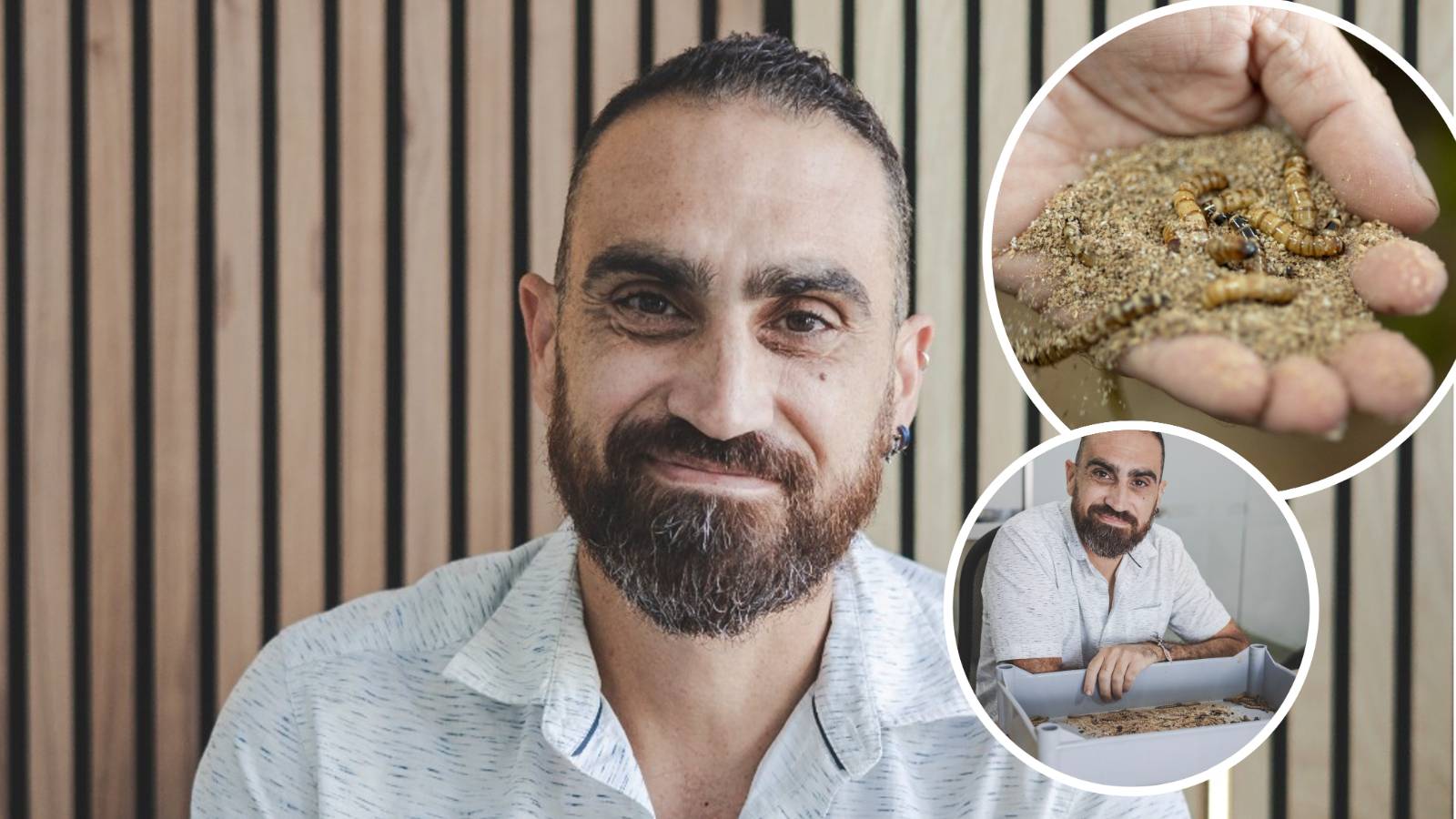 Insects may be crawling onto our menus sooner than we think, says ...