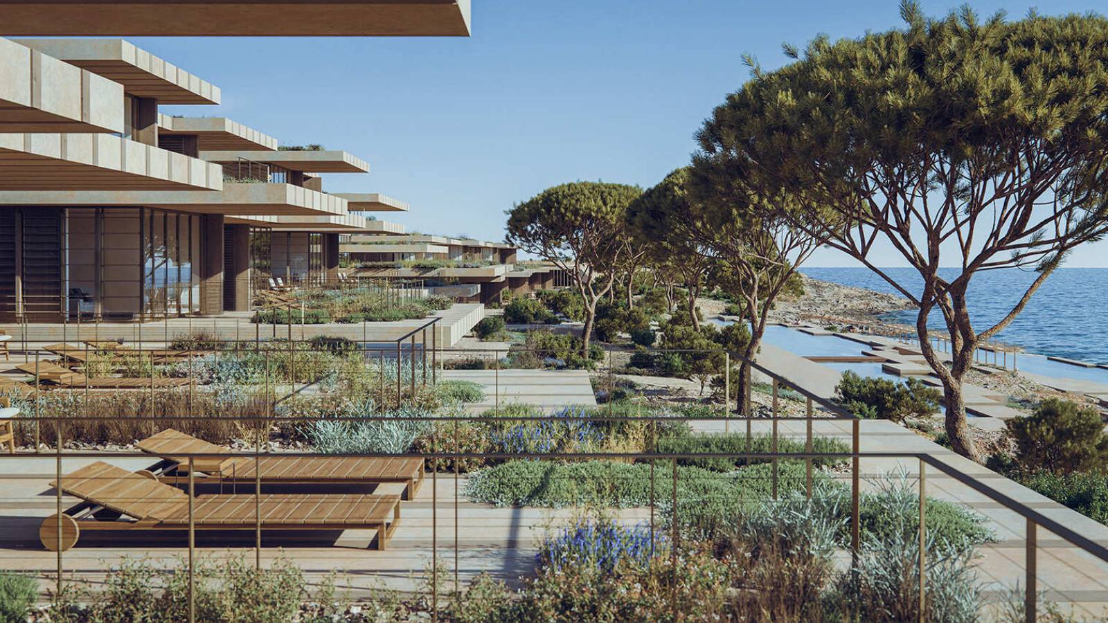 Hili says uprooting of Comino trees ‘necessary for native habitats to recover'